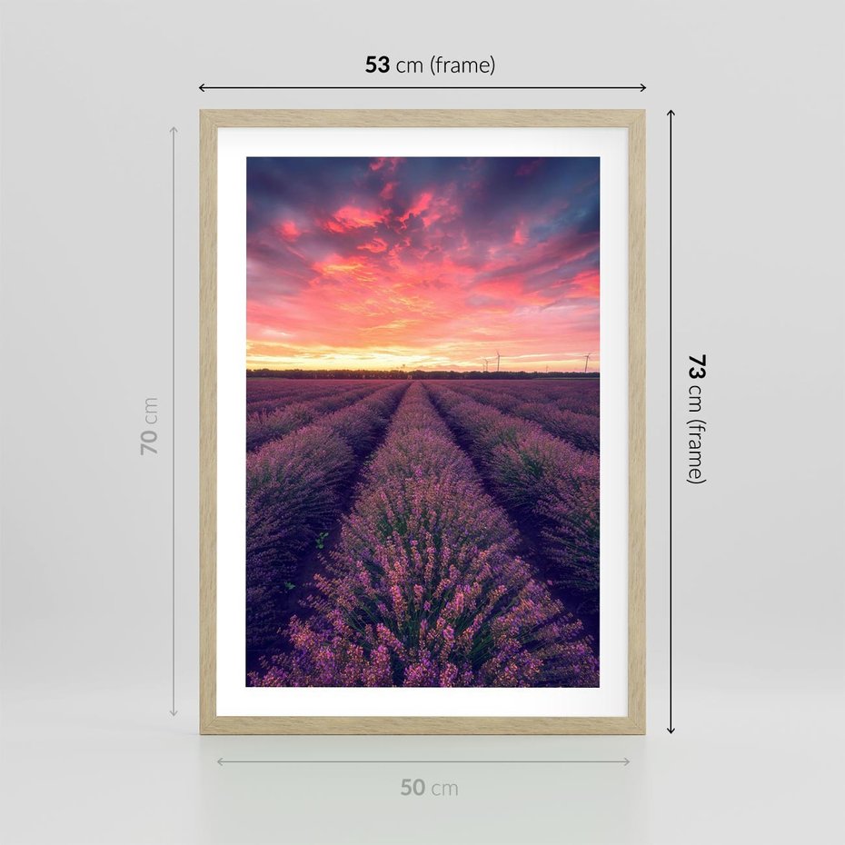 Plakat w ramie 50x70 - Różowe Niebo nad Polami - pola lawendy, zachód słońca - rama drewno