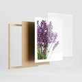 Plakat w ramie 40x50 - Pola lawendy w pełnym rozkwicie - lawenda, kwiaty - rama drewno