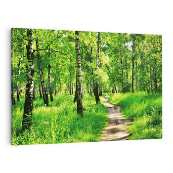 Obraz na płótnie 120x80 - odkryj piękno drzew - las, drzewa