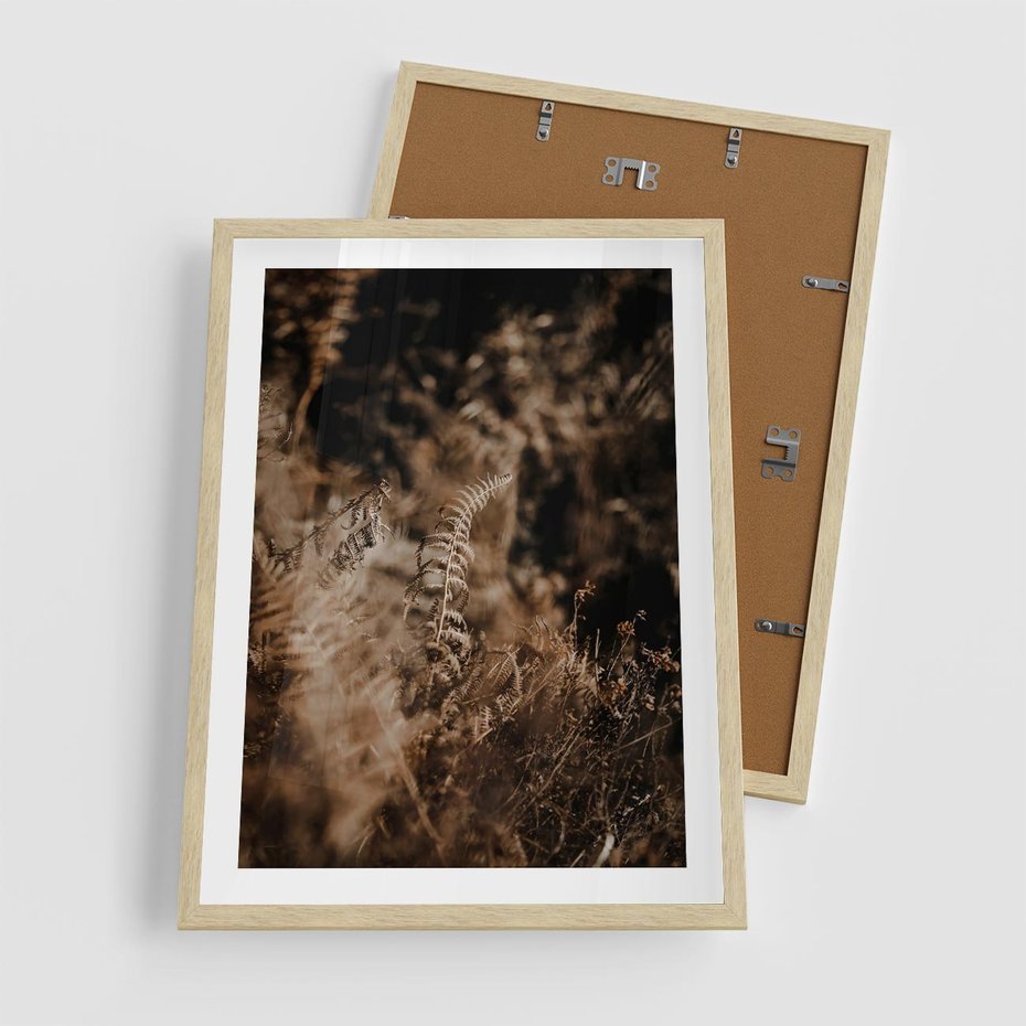 Plakat w ramie 50x70 - Delikatne Detale - paprocie, brąz - rama drewno