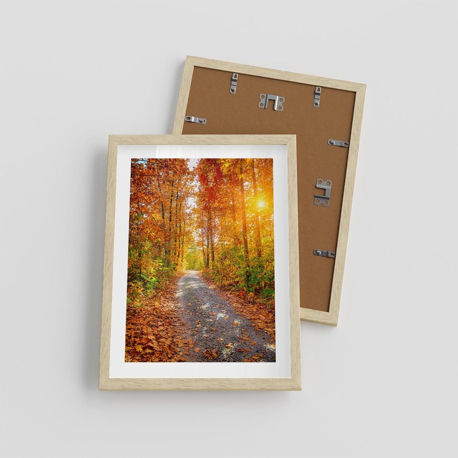 Plakat w ramie 30x40 - Kolorowe drzewa na ścieżce jesieni - las, jesień - rama drewno