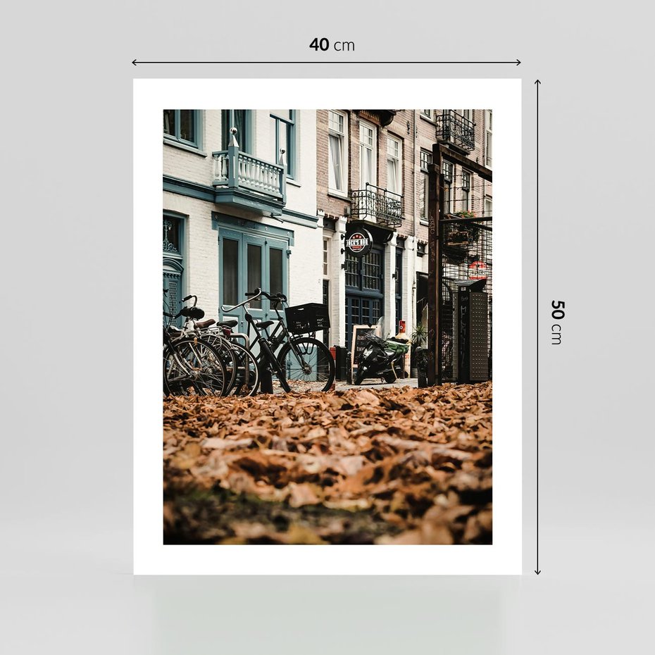 Plakat bez ramy 40x50 - Rowery w Mieście pełnym Liści - rower, miasto