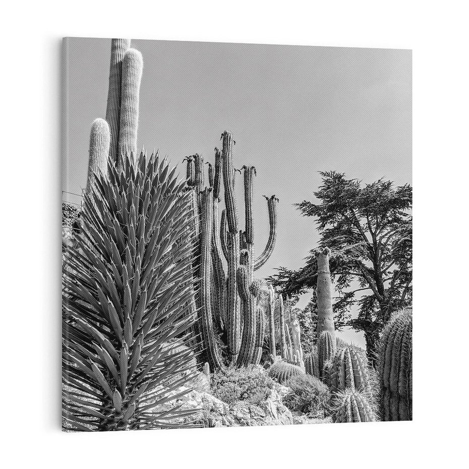 Obraz na płótnie 70x70 - Pustynny Klimat - czarno białe zdjecie, pustynia