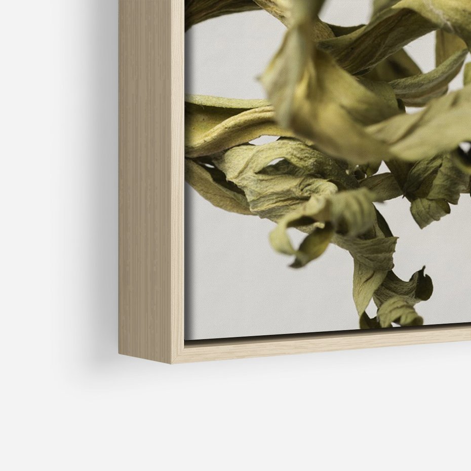 Obraz w ramie 80x120 - Odejście pory deszczowej - suche, trawy - rama drewno