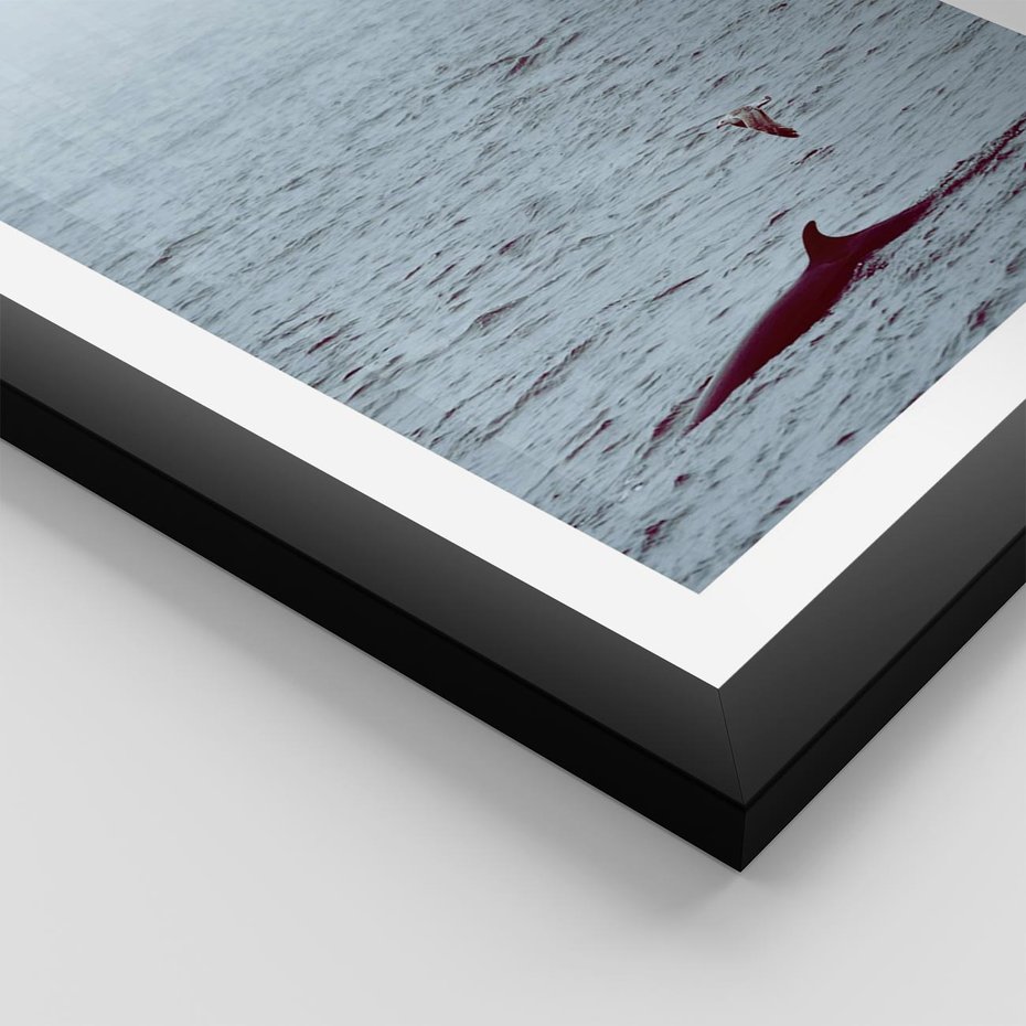 Plakat w ramie 40x50 - Spotkanie z Orką - morze, ocean - rama czarna