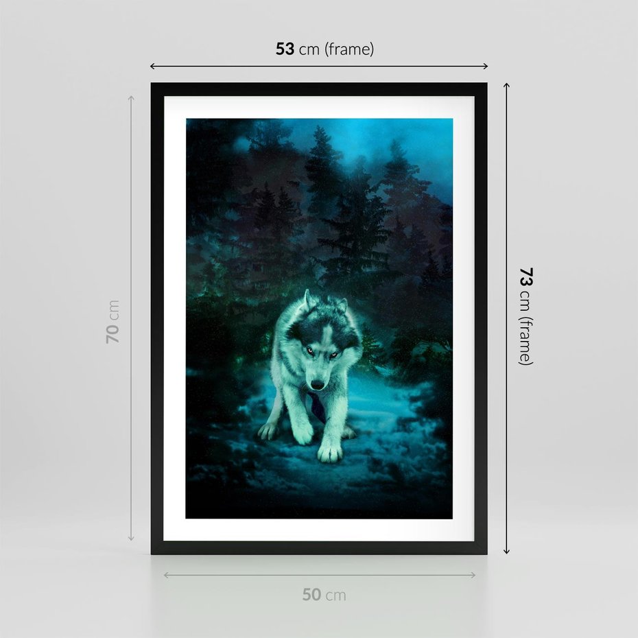 Plakat w ramie 50x70 - Siła i wdzięk natury - wilk, husky - rama czarna