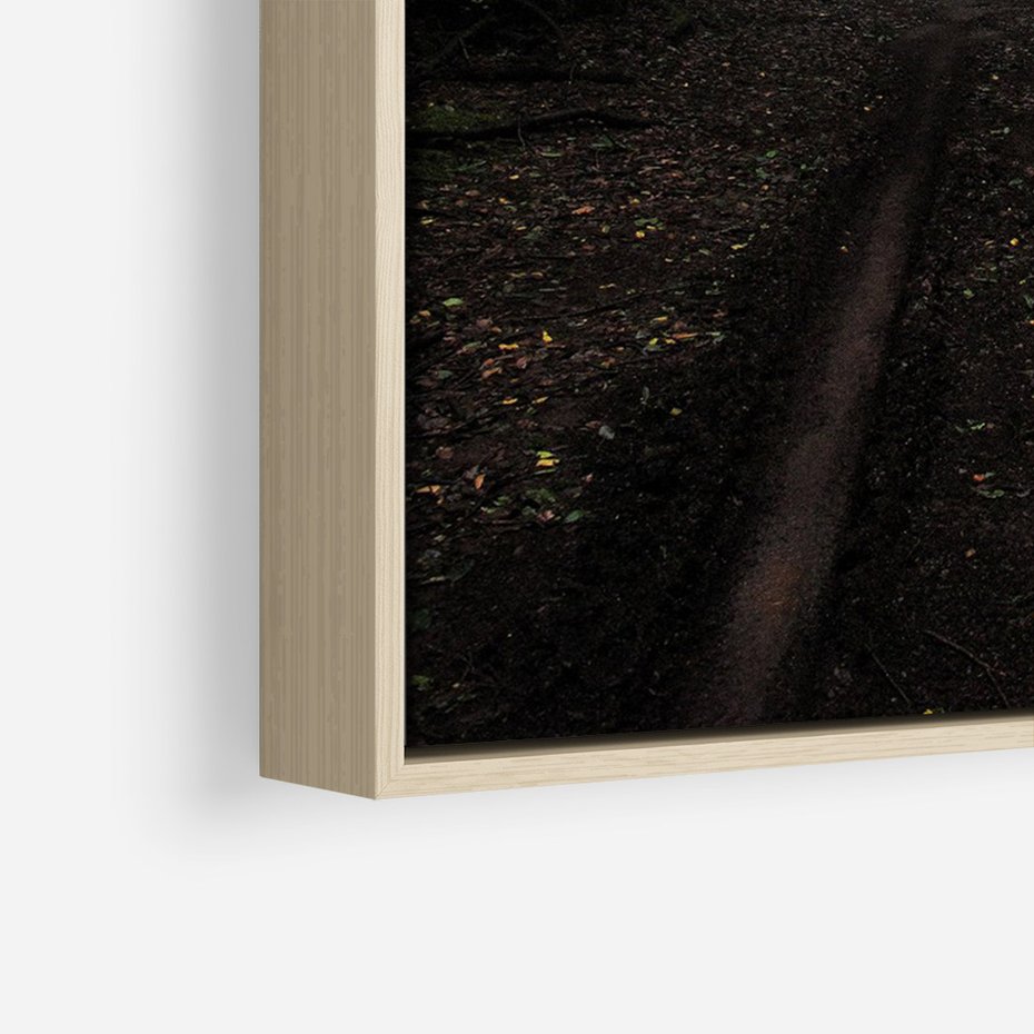 Obraz w ramie 70x100 - Urok Drogi - las, droga - rama drewno