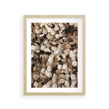Plakat w ramie 50x70 - Delikatność Hortensji: Kompozycja Kwiatów w Beżu - hortensja, odcienie beżu - rama drewno