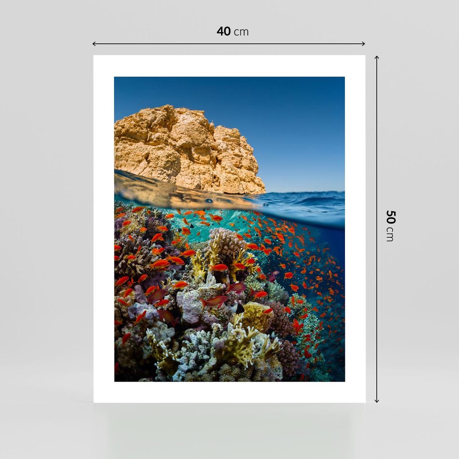 Plakat bez ramy 40x50 - Rafa koralowa w oceanie - rafa, koralowa