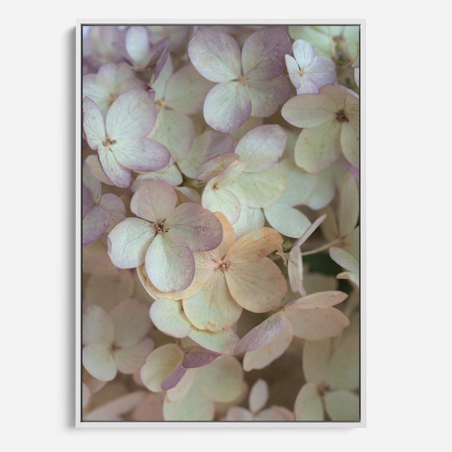 Obraz w ramie 80x120 - Kwiatowy taniec - kwiaty, hortensje - rama biała