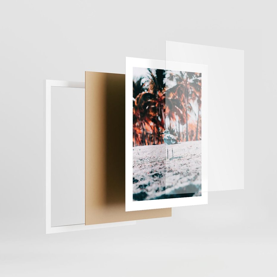 Plakat w ramie 30x40 - Tropikalna Uroda: Plaża z Mewą - tropikalna plaża, mewa na piasku - rama biała