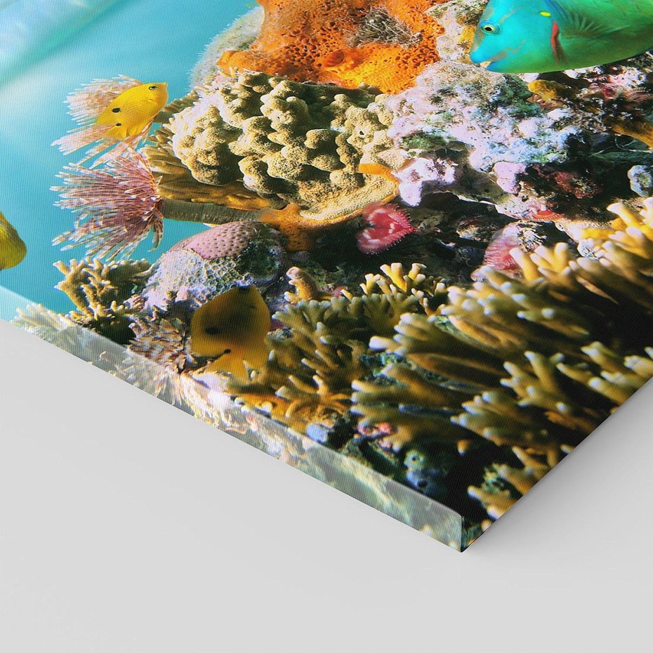 Obraz na płótnie 80x120 - Rafa Koralowa - Podwodne Cuda - rafa, koralowa