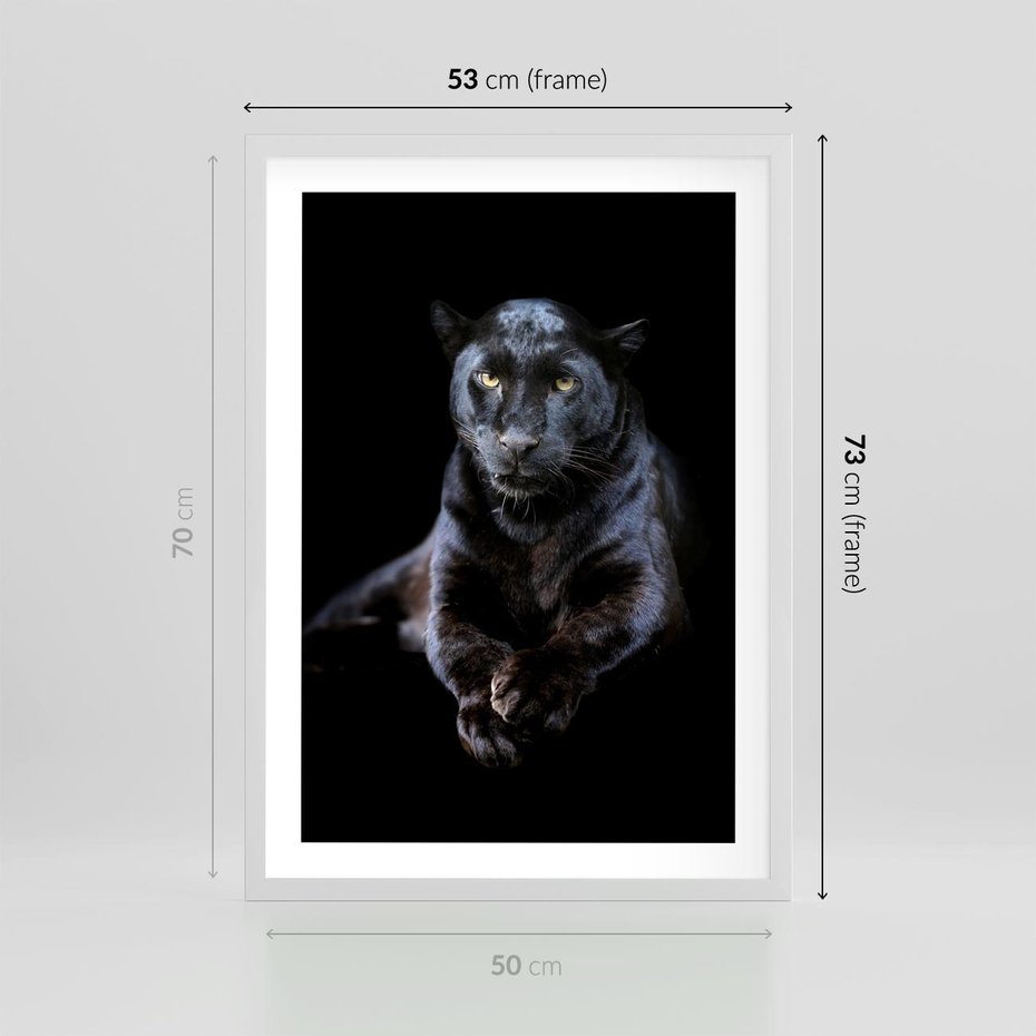 Plakat w ramie 50x70 - Czarna pantera: majestat i siła - czarna, pantera - rama biała