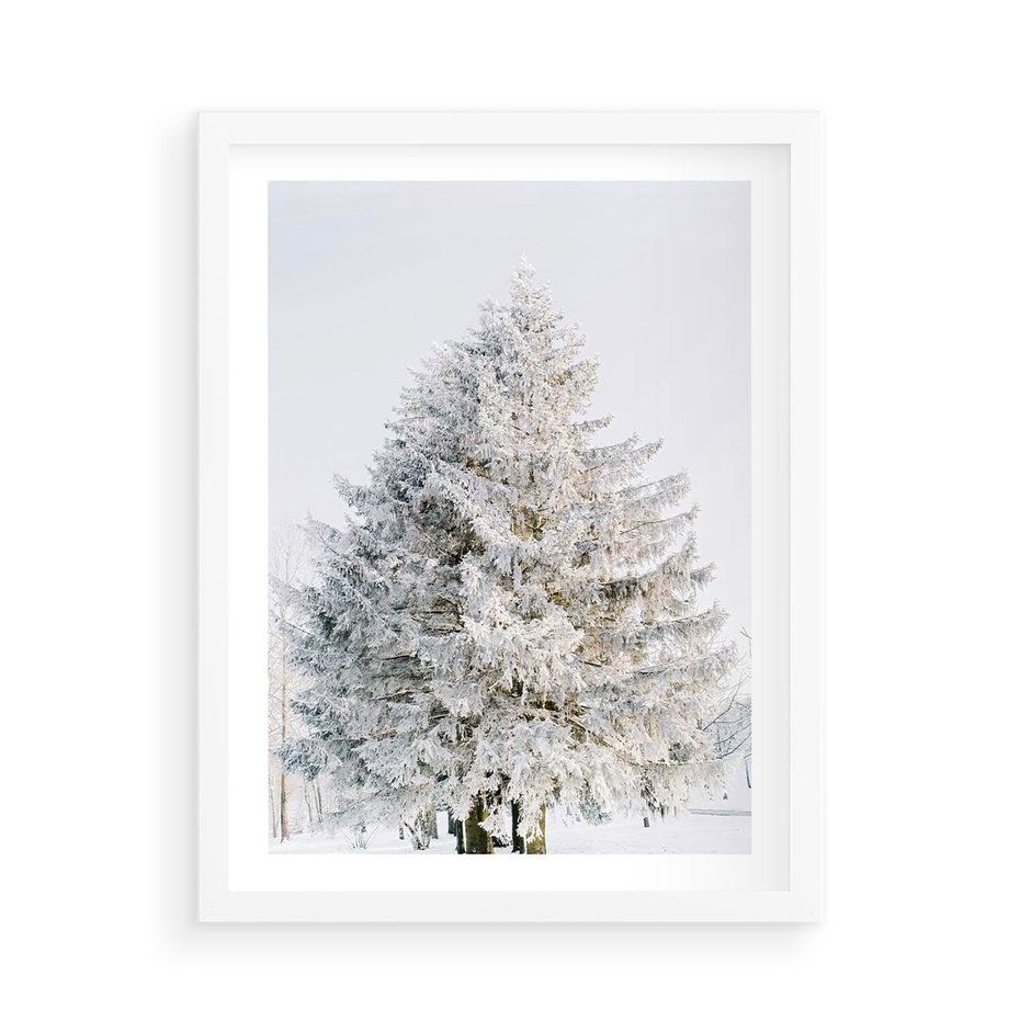 Plakat w ramie 50x70 - Zimowa Poezja w Ośnieżonym Drzewie - ośnieżone drzewo, zima - rama biała