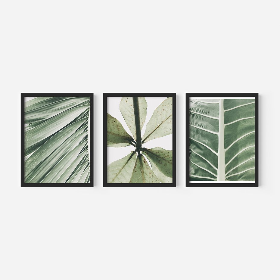 Zestaw obrazy w ramie 40x50 galeria - Liście, minimalizm, zieleń - rama czarna