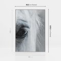 Obraz w ramie 80x120 - Oko Mocy - czarno białe zdjęcie, zbliżenie makro na oko konia - rama biała