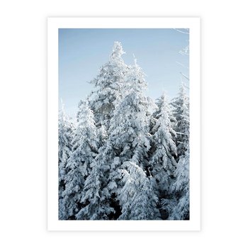 Plakat bez ramy 21x30 - Magia Śnieżnych Drzew - zima, iglaste drzewa