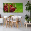 Obraz na płótnie 120x60 - Czereśnie w Koszyku Owocowy Skarb - czereśnie, koszyk