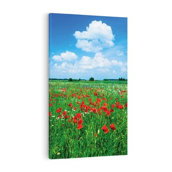 Obraz na płótnie 70x100 - Kolorowa łąka pełna maku - łąka, maki