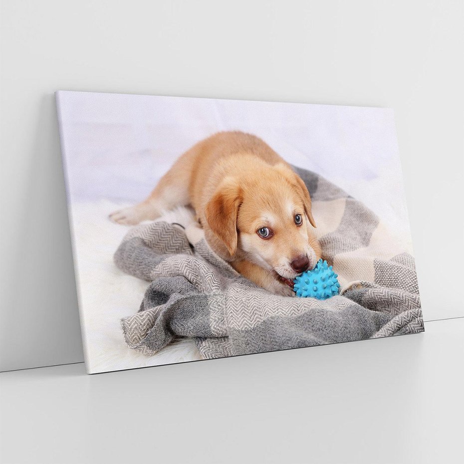 Obraz na płótnie 120x80 - Radość w zabawie: Piesek jako najlepszy przyjaciel - pies, piesek