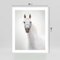 Plakat bez ramy 40x50 - Elegancja białego konia - biały, koń