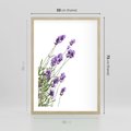 Plakat w ramie 50x70 - Delikatny Urok - lawenda, kwiaty - rama drewno