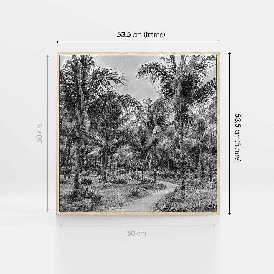 Obraz w ramie 50x50 - Mroczna Ścieżka Tropików - czarno biała fotografia, ścieżka pośród palm - rama drewno