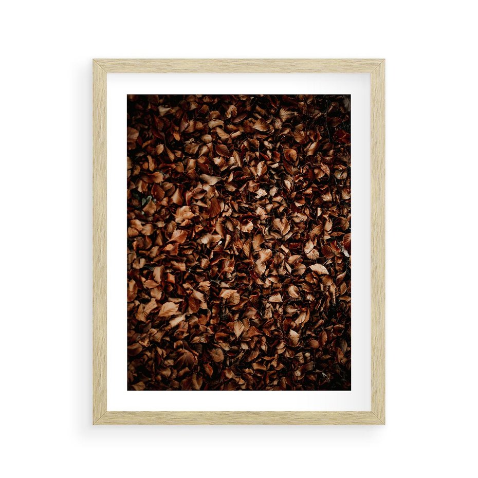 Plakat w ramie 40x50 - Jesienny Dywan - dywan z suchych liści, jesień - rama drewno