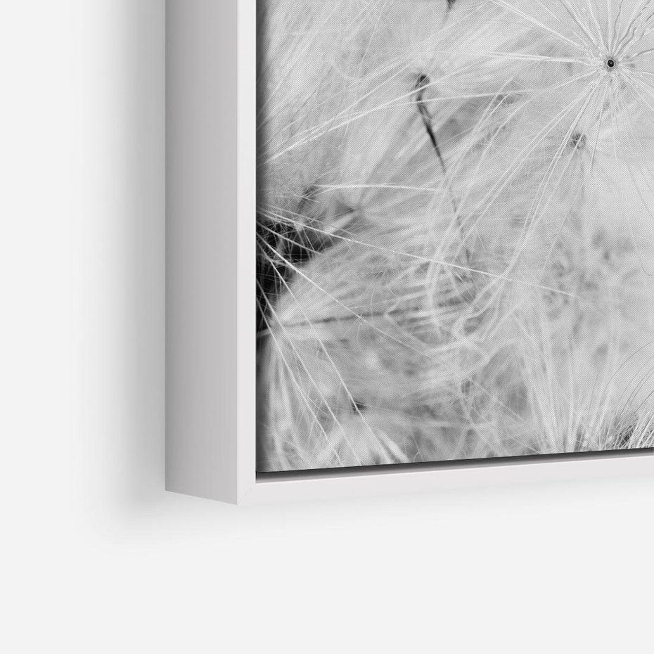 Obraz w ramie 80x80 - Zdmuchnięty Puch - dmuchawce, delikatne - rama biała