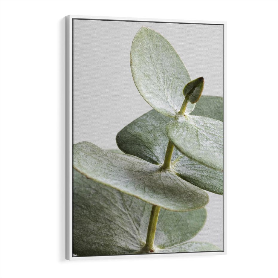 Obraz w ramie 50x70 - Eukaliptusowa zieleń - eukaliptus, zielone - rama biała