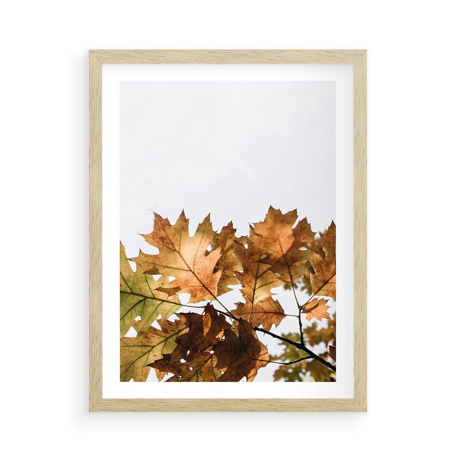 Plakat w ramie 50x70 - Suche Żółte Liście w Malowniczym Ujęciu - liście, żółte - rama drewno