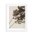 Plakat w ramie 50x70 - Tajemniczy Cień Traw - cień traw, na ścianie - rama biała