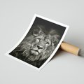 Plakat bez ramy 30x40 - Moc lewego spojrzenia - lew, czarno