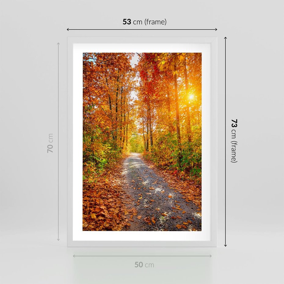 Plakat w ramie 50x70 - Kolorowe drzewa na ścieżce jesieni - las, jesień - rama biała