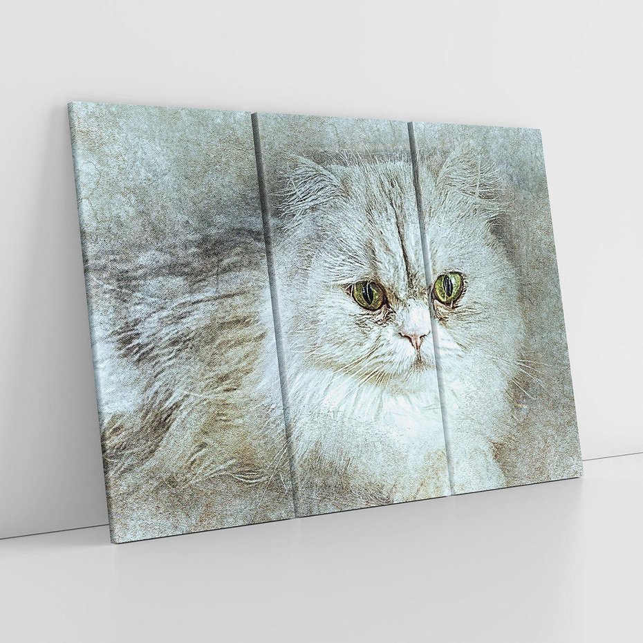 Obraz na płótnie 120x80 - Zwierzęca abstrakcja: Kot - kot, zwierzę