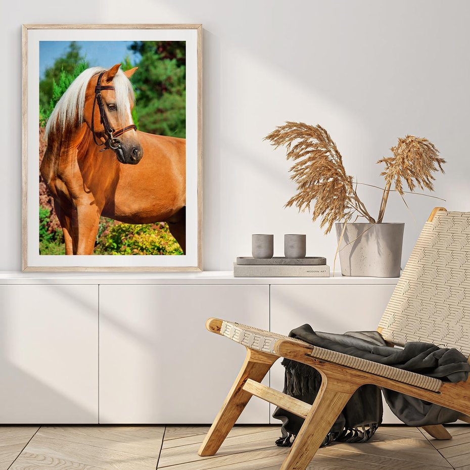 Plakat w ramie 40x50 - Elegancki wierzchowiec - koń, portret - rama drewno