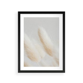 Plakat w ramie 40x50 - Czysty Minimalizm - białe trawy, minimalizm - rama czarna
