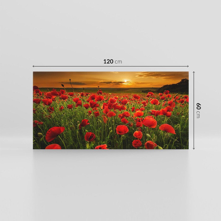 Obraz na płótnie 120x60 - Maki na łące: Przebudzenie wiosny - mak, maki