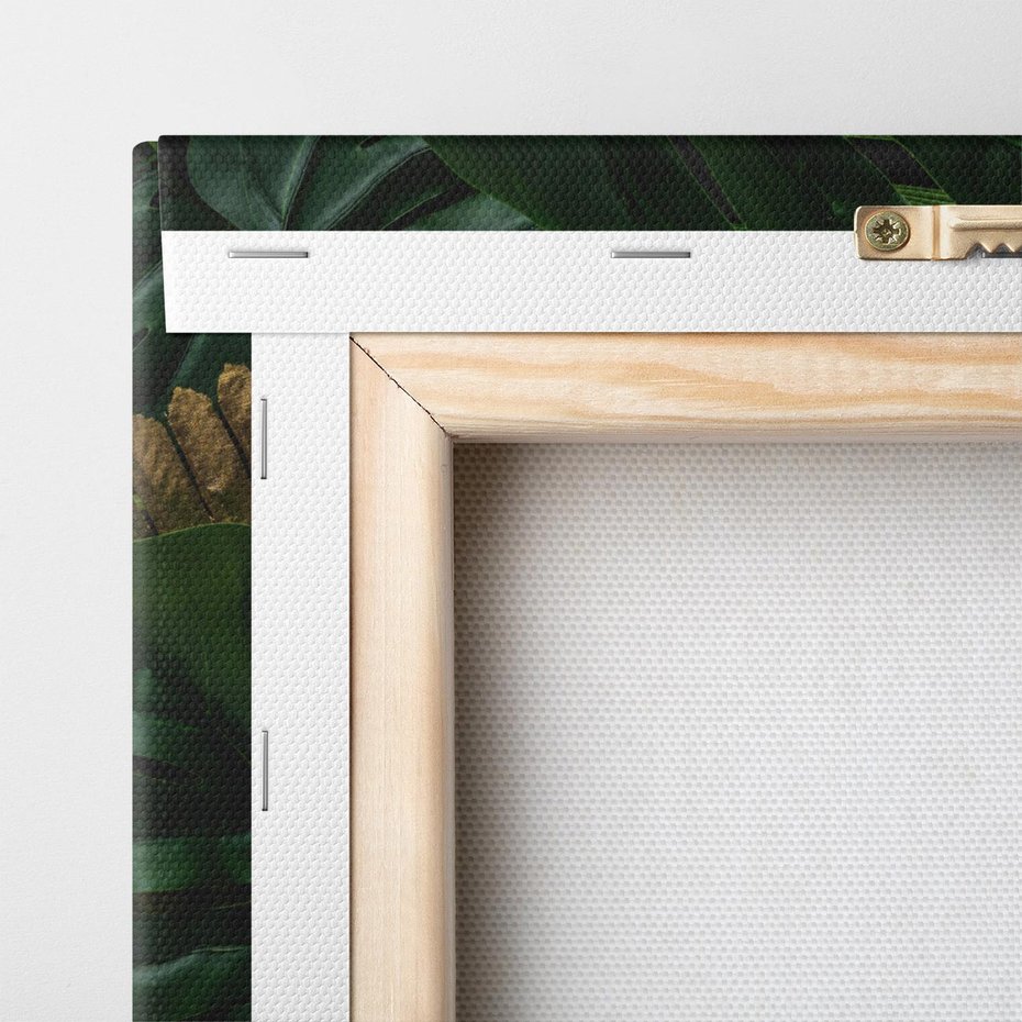 Obraz na płótnie 90x30 - Monstera Liście Kwiat - monstera, liście