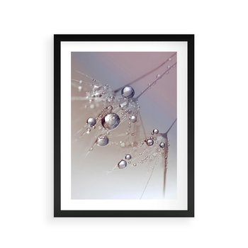 Plakat w ramie 40x50 - Delikatne Natchnienie - krople, dmuchawce - rama czarna