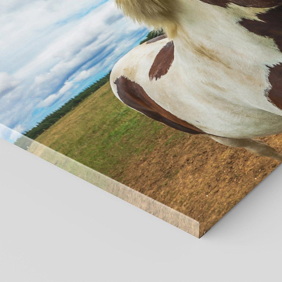 Obraz na płótnie 100x70 - Koń na farmie - koń, konik