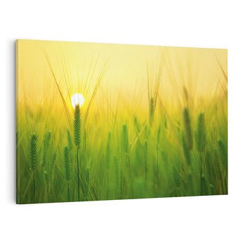 Obraz na płótnie 120x80 - Zboże w kłosach: Oda do plonów natury - zboże, kłos