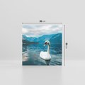 Obraz na płótnie 30x30 - Łabędzi Śpiew - fotografia, plakat