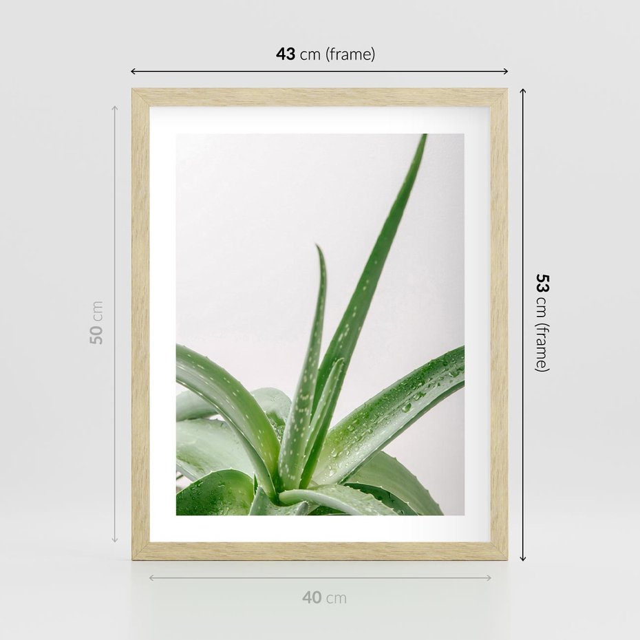 Plakat w ramie 40x50 - Zielone Piękno - aloes, liście - rama drewno