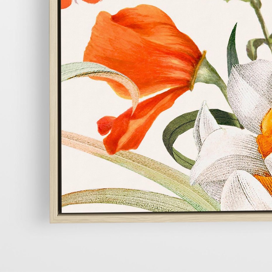 Obraz w ramie 50x50 - Polne Kwiaty - polne kwiaty, na białym tle - rama drewno