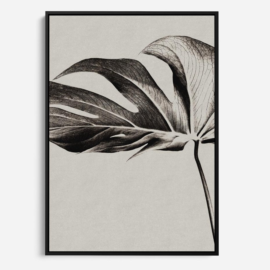 Obraz w ramie 50x70 - Szepczący Liść - szkic, czarno biały - rama czarna