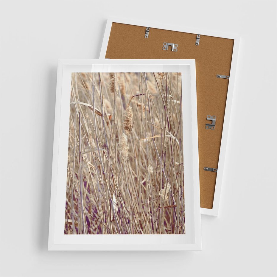 Plakat w ramie 50x70 - Suche Trawy w Wyjątkowym Stylu - suche trawy, boho styl - rama biała