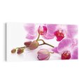 Obraz na płótnie 140x70 - Elegancka orchidea w pełnym rozkwicie - orchidea, kwiat