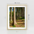 Plakat w ramie 40x50 - Las: harmonia natury - las, drzewa - rama drewno