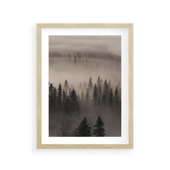 Plakat w ramie 30x40 - Mglista Opowieść Lasu - las, mgła - rama drewno